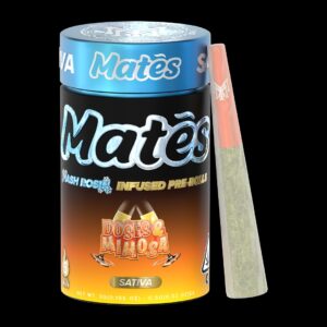 BUY MUHA MEDS DOSES AND MIMOSA | SATIVA | HASH ROSIN INFUSED PRE-ROLLS