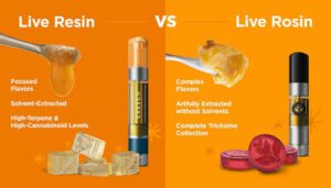 Read more about the article Concentrates 101: Live Resin vs. Live Rosin Explained