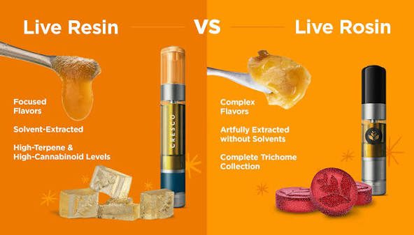 You are currently viewing Concentrates 101: Live Resin vs. Live Rosin Explained